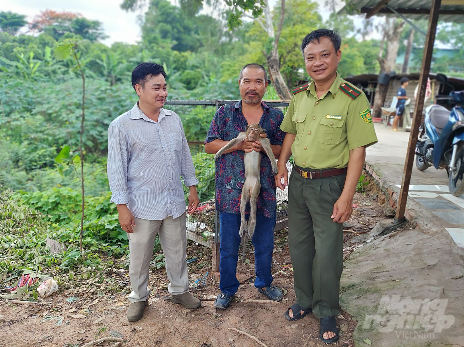 The HCMC Rangers rescued a monkey from the news of the people and released it to Cu Chi Wildlife Rescue Station. Photo: HCMC Forest Protection Department.