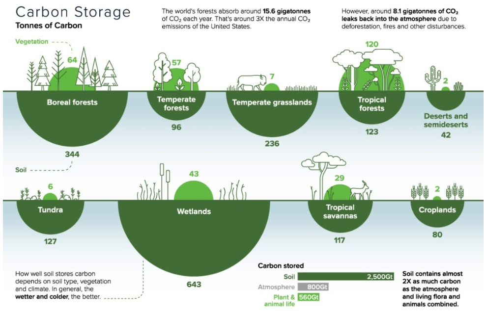 Soil is an untapped storage solution. Image: Visual Capitalist