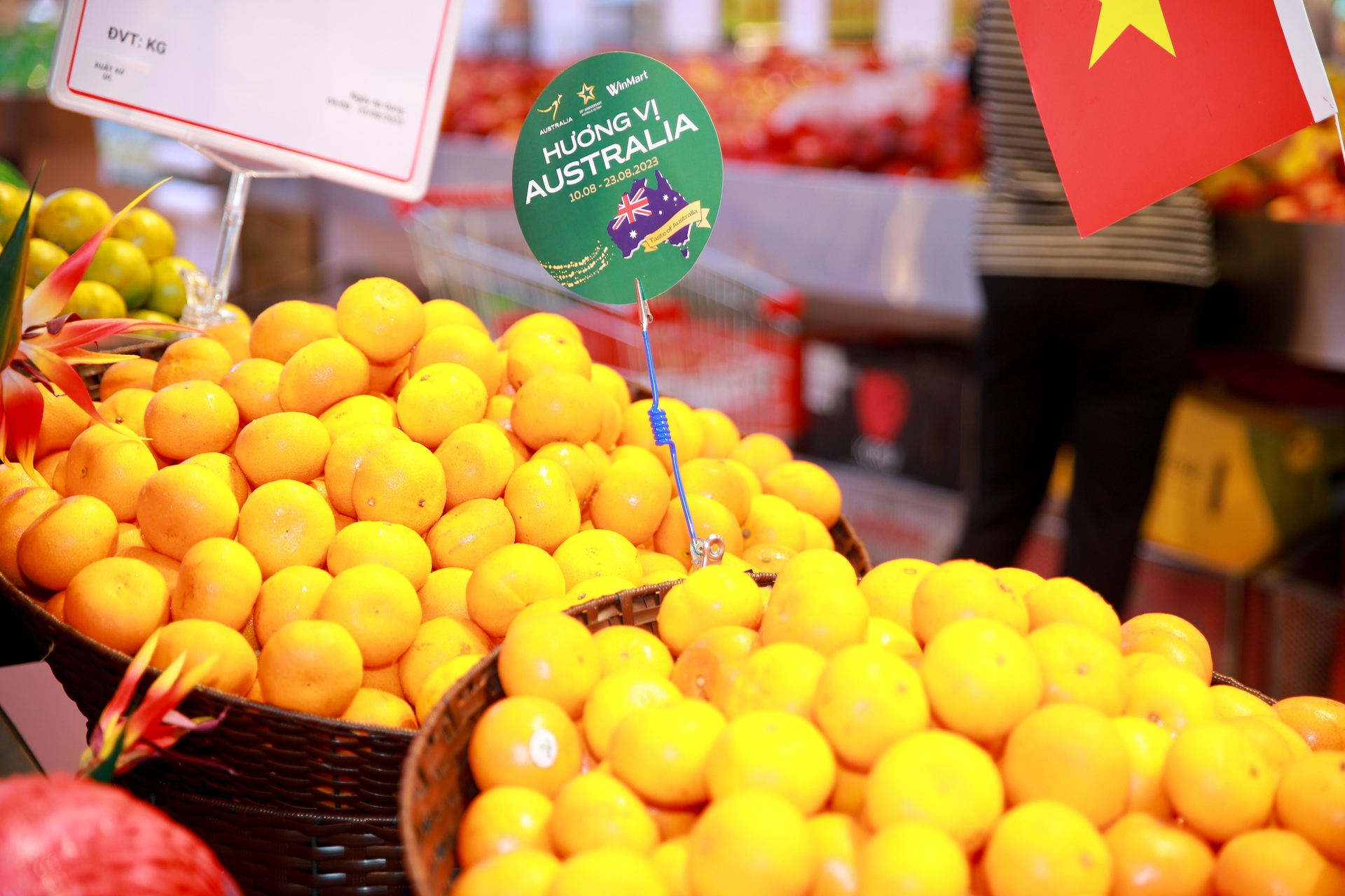 WinCommerce quảng bá 2 loại trái cây nhập khẩu đặc trưng của Australia là cam, quýt.