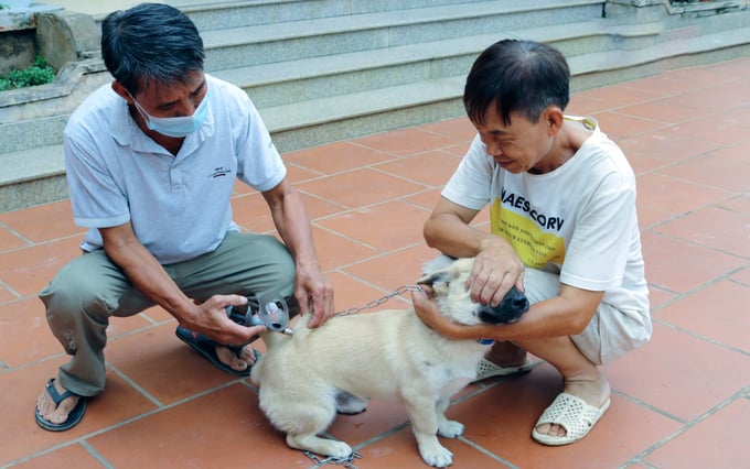 Cán bộ thú y tiêm phòng vacxin dại tại nhà cho người dân trên địa bàn tỉnh Thái Bình. Ảnh: BT.
