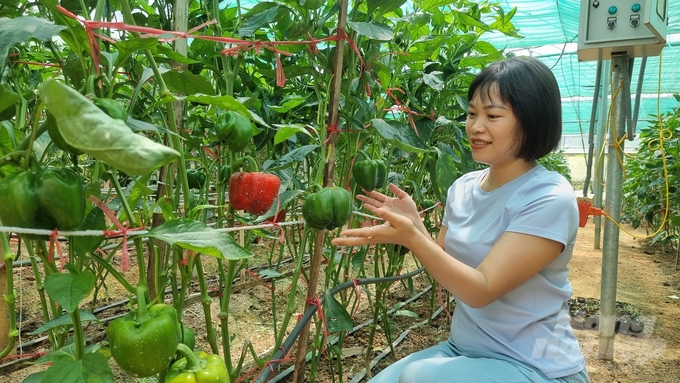 Nguyen Thi Bich Ngoc, the head teacher of the Department of Forestry (Tay Bac University). Photo: Toan Nguyen.