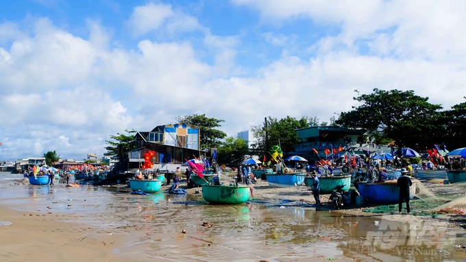 Theo ông Nguyễn Thành Vân, Chủ tịch UBND thị trấn Long Hải, đánh bắt cá trích là loại hình truyền thống của ngư dân thị trấn Long Hải. Do đó, đây là thời điểm để những ngư dân chuyên khai thác cá trích vươn khơi để thu 'lộc trời ban'.