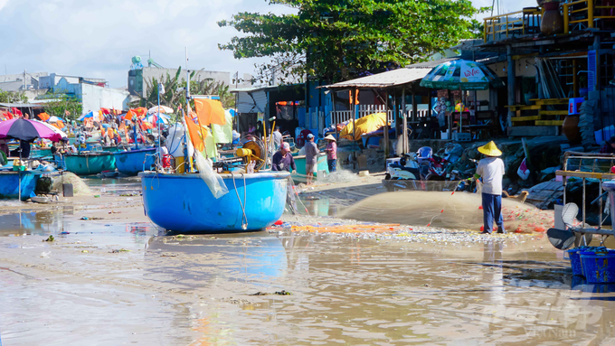 Từ 6h sáng, bến ghe thuyền tại bãi biển Dinh Cô (thị trấn Long Hải) nhộn nhịp hẳn lên.