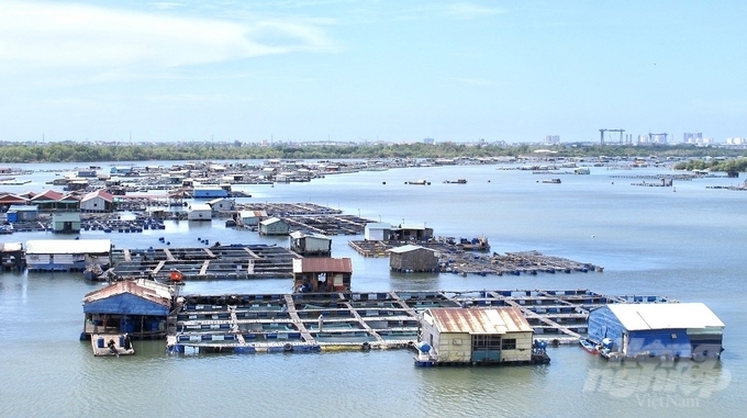 Ba Ria - Vung Tau has 7 enterprises, 2 cooperatives operating in the field of fishing, 334 cooperative groups to unite in fishing at sea. Photo: Minh Sang.