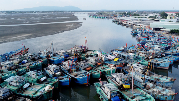 Although every year, Vietnam's aquaculture and fishing industry achieves high output, but the loss rate after farming and fishing is still considerable, especially in the fishing sector. Photo: Minh Sang.