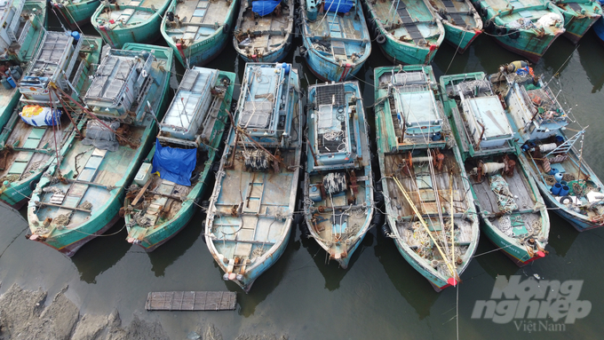 Currently, most small fishing vessels lack adequate space for product sorting. Moreover, many of these vessels are not designed with proper storage compartments that adhere to the required standards. As a result, preserving and processing the catch after harvesting becomes quite challenging. Photo: Minh Sang.