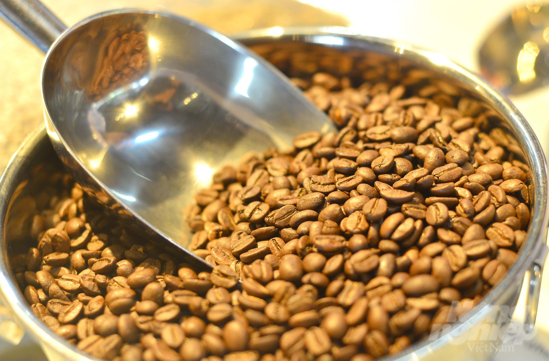 Sản phẩm cà phê hữu cơ của gia đình ông Trần Mai Bình được thị trường tiêu thụ với mức giá cao vượt trội so với cà phê thông thường. Ảnh: Minh Hậu.