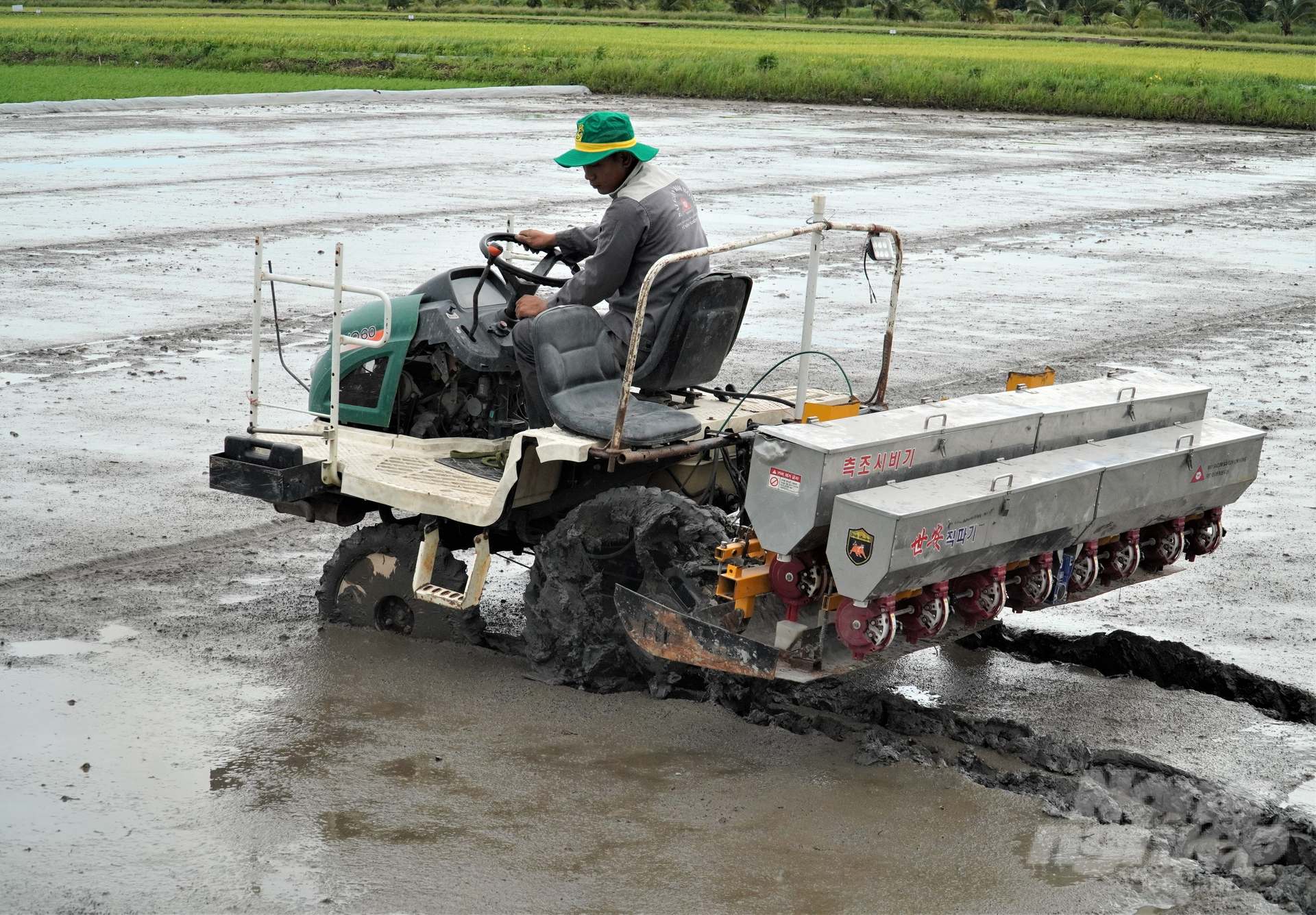 Vụ lúa thu đông 2023, nông dân ĐBSCL đẩy mạnh cơ giới hóa khâu gieo sạ, sử dụng máy sạ cụm kết hợp bón vùi phân vừa giảm lượng lúa giống và tăng hiệu quả sử dụng phân bón, tiết kiệm công lao động. Ảnh: Kim Anh.