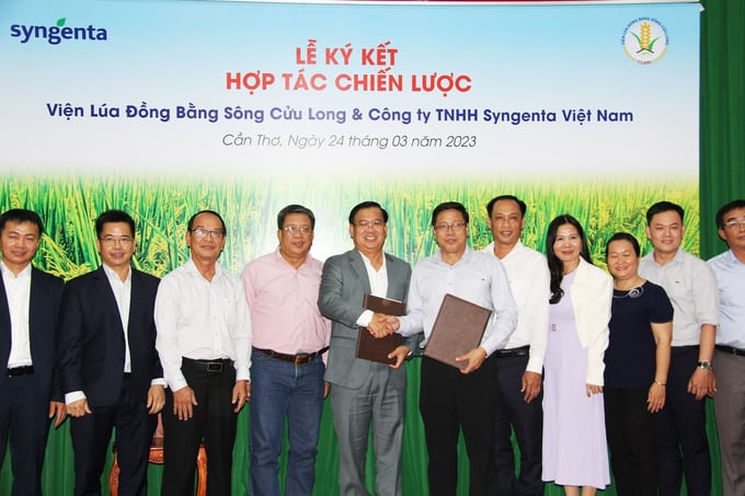 Lễ ký kết hợp tác giữa Syngenta Việt Nam và Viện Lúa Đồng bằng sông Cửu Long.