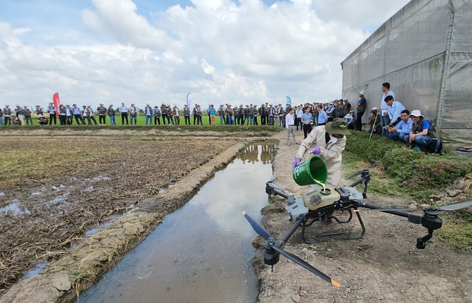 Syngenta khảo nghiệm áp dụng Drone phun thuốc BVTV trên cây lúa.