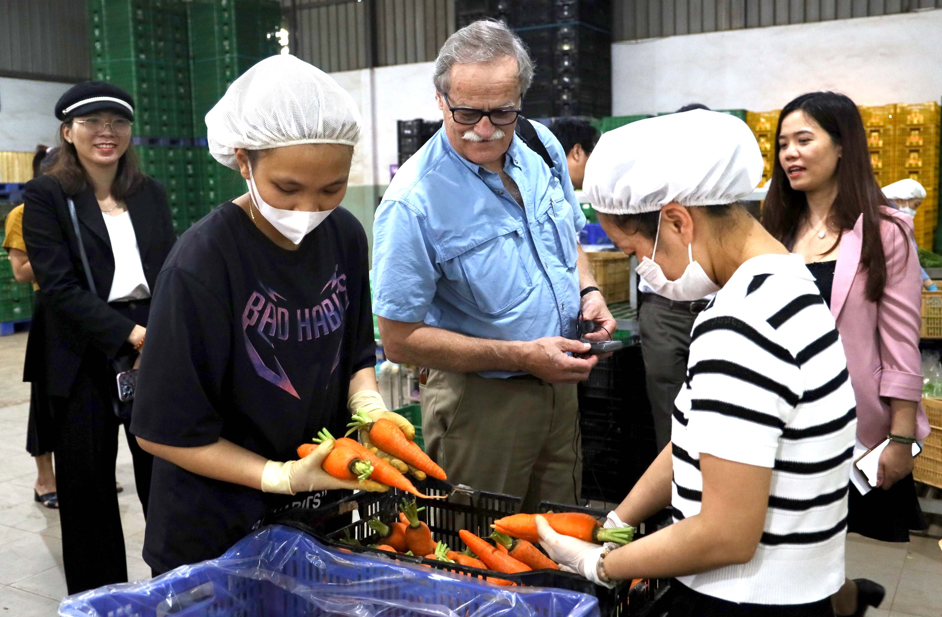 Representatives of agencies, units, and experts organized a visit to a vegetable and tuber production model at an enterprise in Lam Dong.
