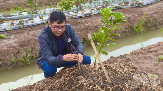 Huyện Châu Thành A có nhiều mô hình đạt lợi nhuận hơn 100 triệu đồng mỗi năm/ha. Ảnh: Hồ Thảo.