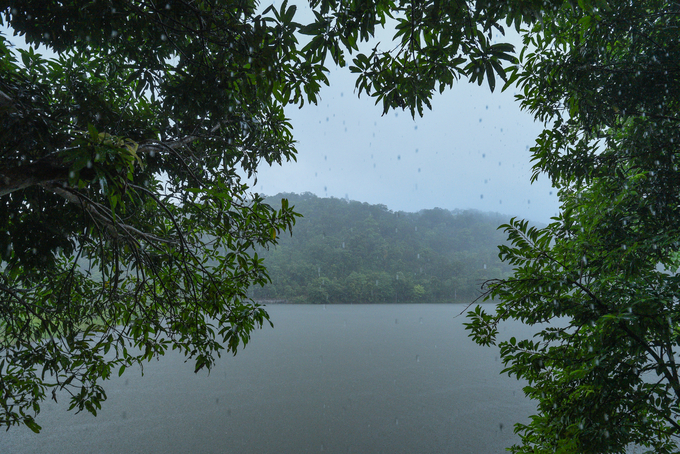 Mid-July torrential rain in Yok Don forest. Photo: Tung Dinh.