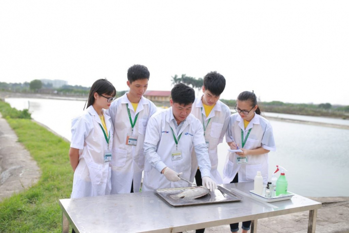 Students of Vietnam National University of Agriculture during practical hours. Photo: HA.