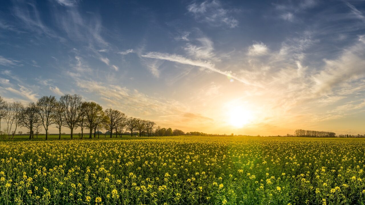 The current agriculture system in the Netherlands 'has reached its limits' and change is needed.