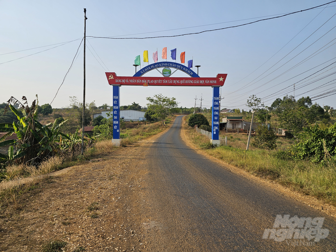 Đường vào khu tái định cư xã Đắk P'lao, Đắl Glong. Ảnh: Phúc Lập.