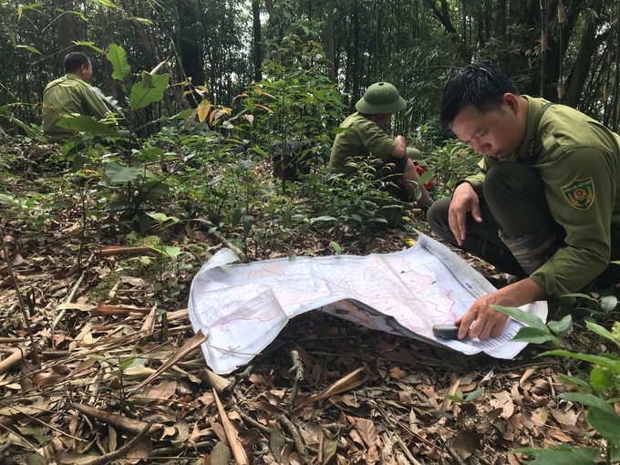 Forest rangers on duty in Tam Dao National Park. Photo: Tung Dinh.