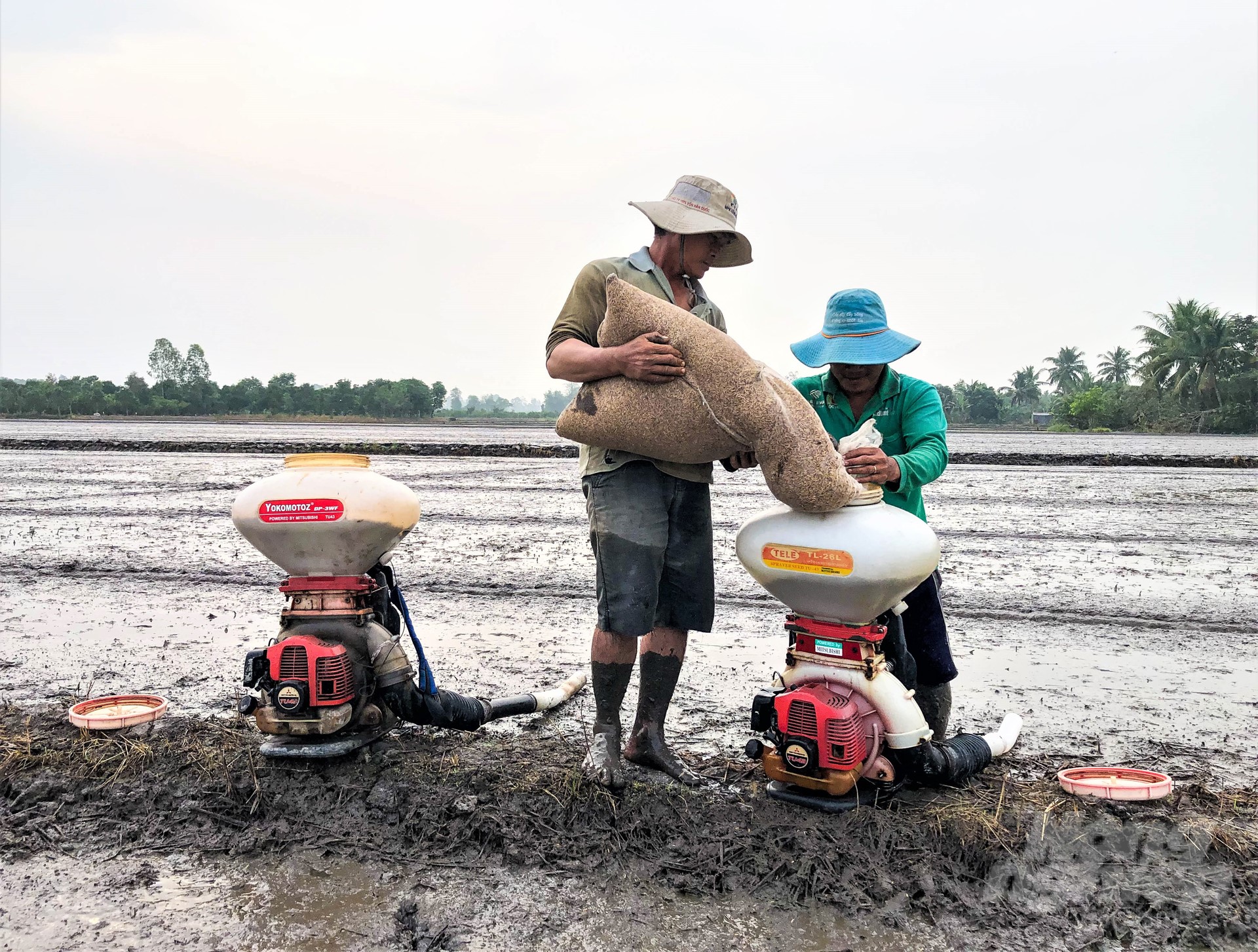 Farmers in Tan Hiep district actively sowed 2023 autumn-winter rice seed. So far, the whole district has increased the area by approximately 6,000 ha over the plan. Photo: Kim Anh.