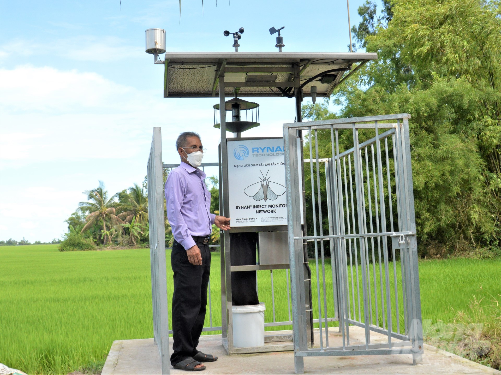 A smart pest monitoring station for agricultural production helps farmers manage pests well and protect 2023 autumn-winter rice effectively. Photo: Trung Chanh.