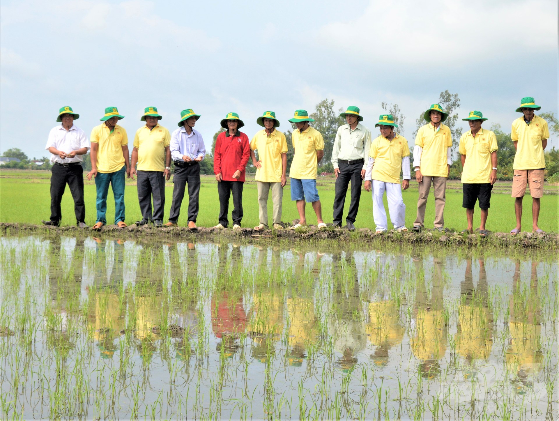 The 2023 autumn-winter crop in the Mekong Delta is forecast to have many favorable conditions for production, creating good conditions for farmers to associate in production and expand the area. Photo: Trung Chanh.