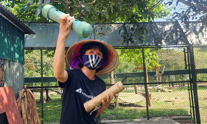 Food will be hidden in bamboo and plastic pipes like this to wake up the bear's instinct. Photo: Tung Dinh.