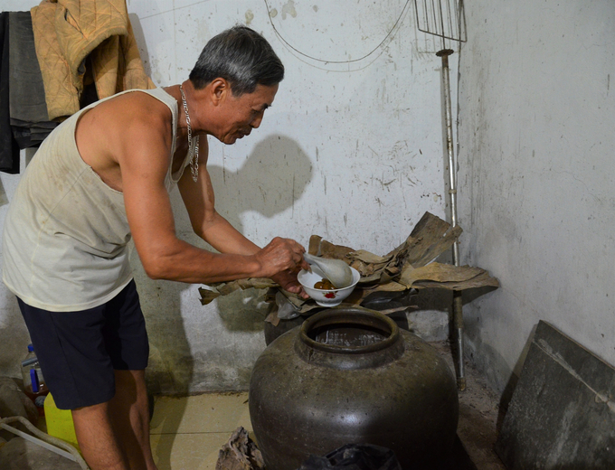 Chum mơ ngâm của nhà ông Kiện. Ảnh: Dương Đình Tường.