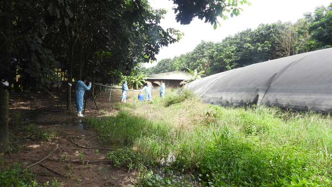 With the extensive biogas chamber system on the pig farm, Mr. Vien has achieved a level of energy self-sufficiency on a monthly basis, saving hundreds of millions of VND. Photo: Tran Trung.