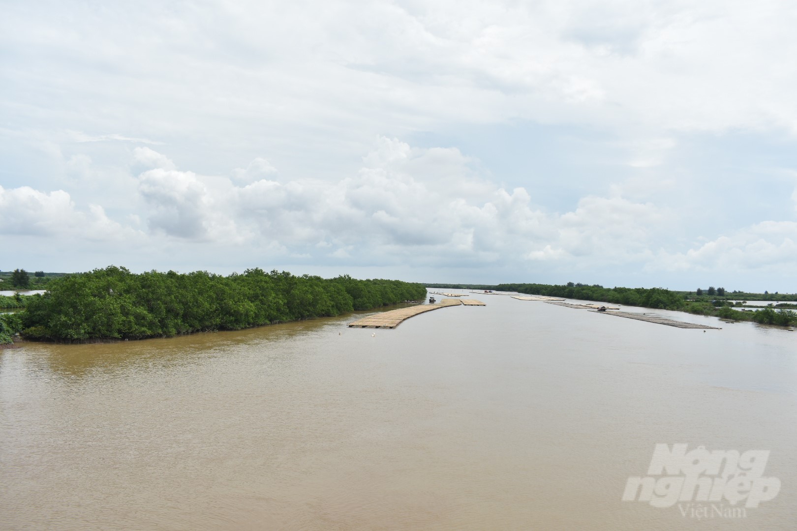 Thai Binh adjusted the area of the special-use forest in Tien Hai district to 1,320 ha, nearly 1/10 of the approved area in 2014. Photo: K.Trung.