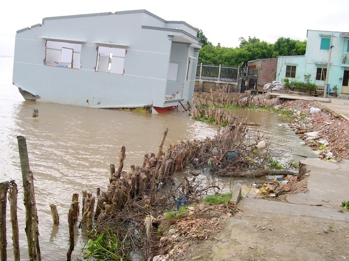 Landslides in distributaries are the most dangerous. Photo: Le Hoang Vu.