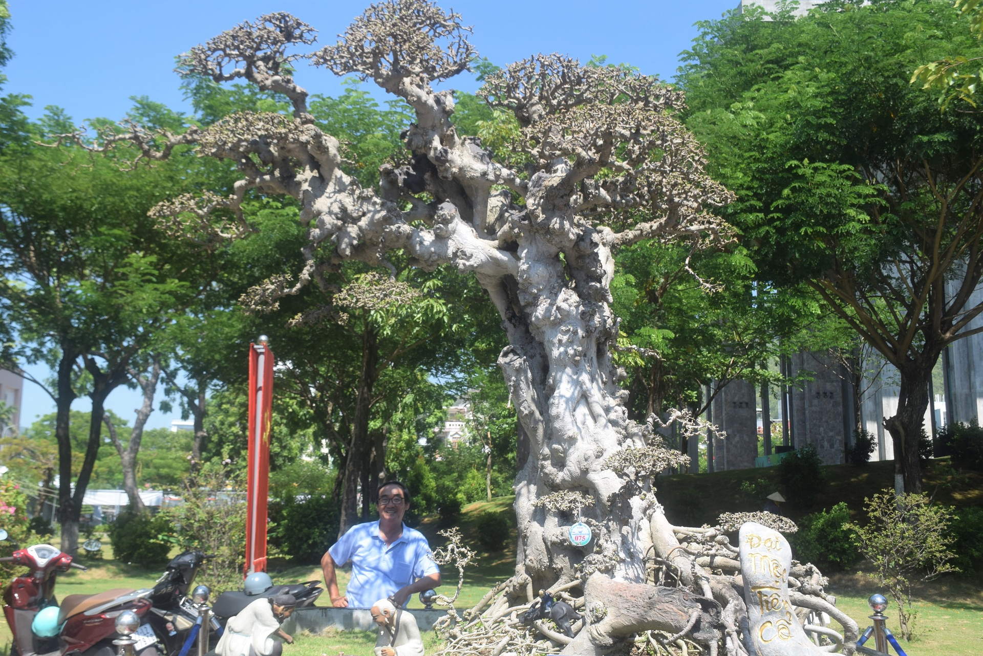 Hơn 1.300 tác phẩm cây cảnh, bonsai được trưng bày dọc đường Nguyễn Tất Thành (TP Quy Nhơn, Bình Định). Ảnh: V.Đ.T.