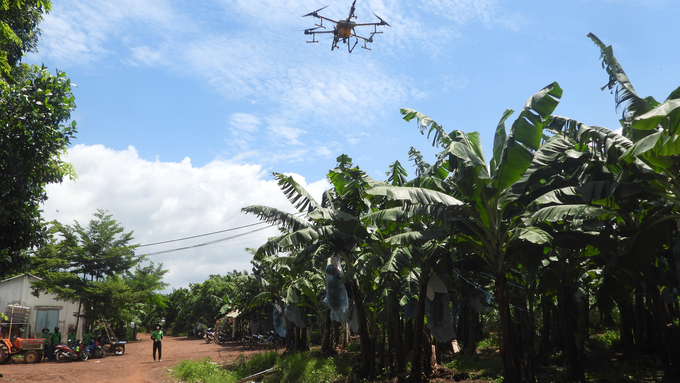 Engineers at Unifarm have been trained to meet the requirements of hi-tech agroproduction. Photo: Tran Trung.