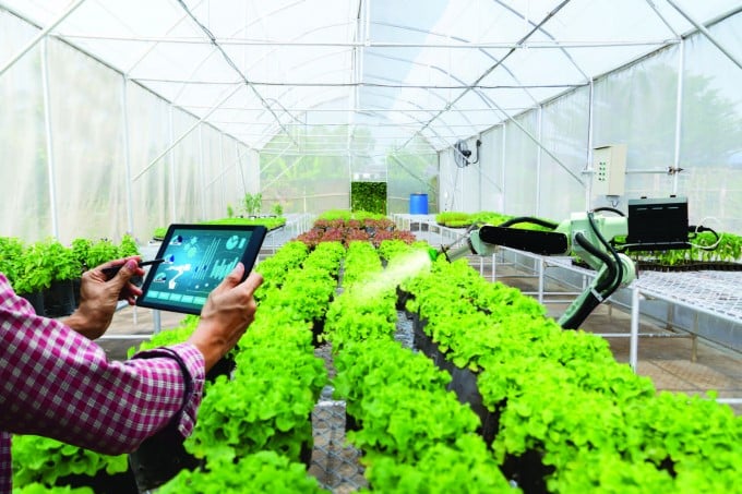 Digital technology increasingly plays an important role in supporting production monitoring, product traceability, and production management in the direction of emission reduction. Photo: TL.