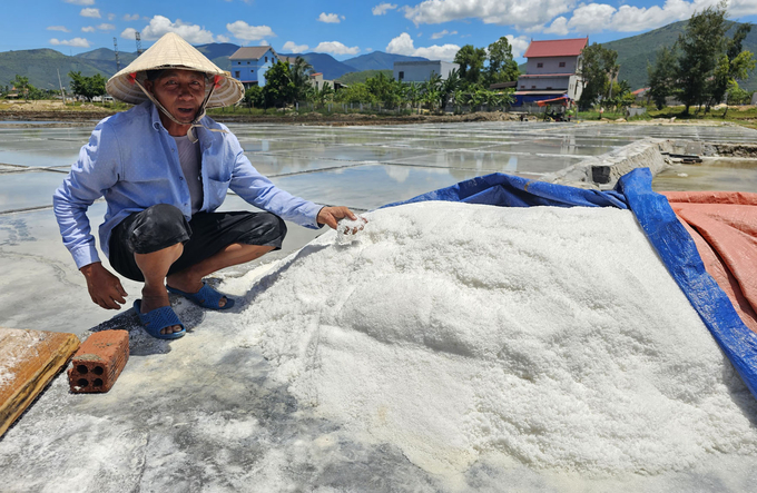 Hơn tấn muối là kết quả lao động một ngày của gia đình ông Võ Huỳnh cho thu nhập trên 2 triệu đồng. Ảnh: T.P.