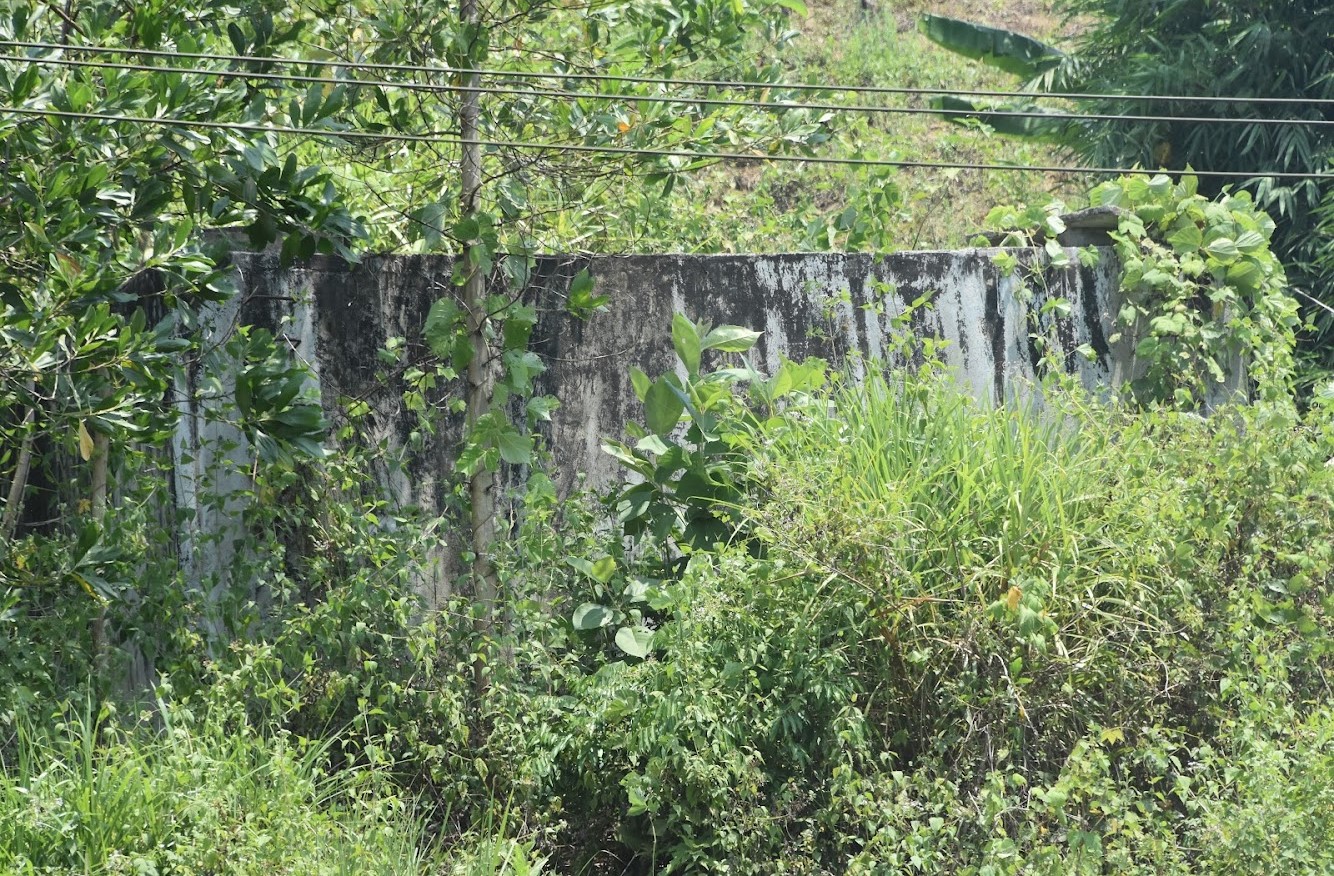 Một công trình nước sạch ở huyện miền núi Quảng Ngãi bỏ hoang để cỏ dại mọc um tùm. Ảnh: L.K.