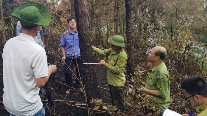 Hiện trường cháy rừng tại TP Hạ Long (tỉnh Quảng Ninh). Ảnh: ĐVCC.