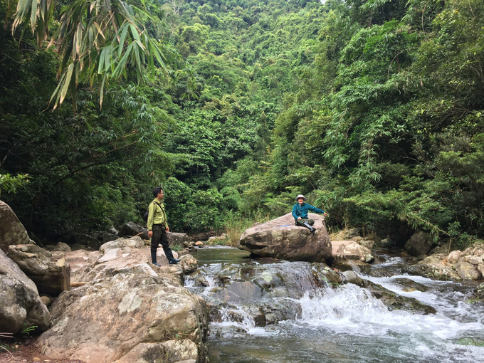 Lực lượng kiểm lâm thường xuyên đi tuần tra để kịp thời ứng phó với cháy rừng. Ảnh: Nguyễn Thành.