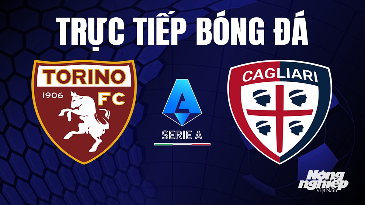 Trực tiếp bóng đá Serie A (VĐQG Italia) 2023/24 giữa Torino vs Cagliari hôm nay 21/8/2023