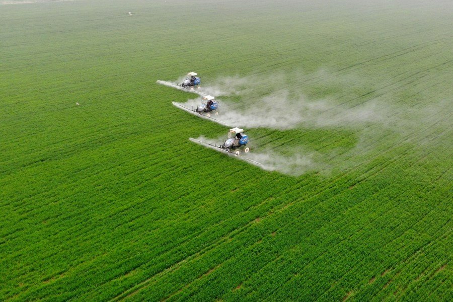 Máy kéo phun thuốc trừ sâu trên cánh đồng lúa mì ở tỉnh An Huy, Trung Quốc.