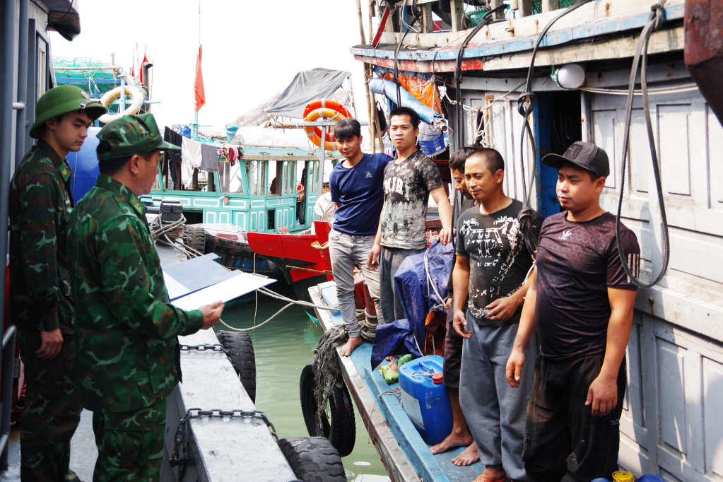 Officers of Ngoc Vung Border Station reported violations to representatives of 5 fishing boats.