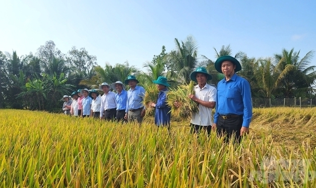 The survey is an opportunity to strengthen the capacity of agricultural staff to use digital tools to collect data from farmers. Photo: Kim Anh.