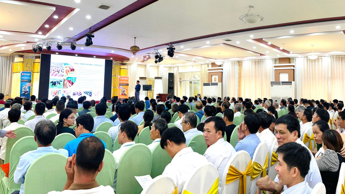 Seminar on raising laying hens in Tien Giang on July 27, 2023