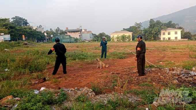 Tổ công tác bắt chó thả rông trên địa bàn huyện Bình Liêu. Ảnh: Nguyễn Thành.