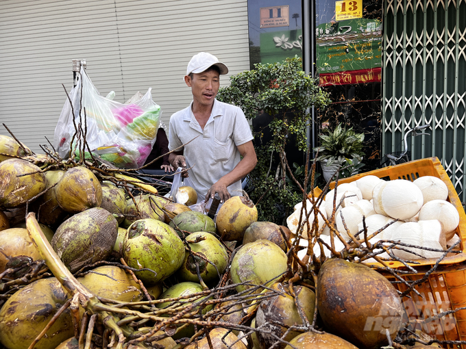 Fresh coconuts are very popular with consumers in Ho Chi Minh City, especially on hot days. Photo: Nguyen Thuy.