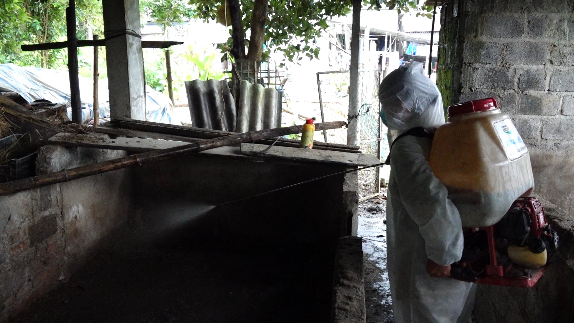 Nhân viên thú y phun thuốc khử khuẩn tại Bắc Kạn. Ảnh: Quang Linh.