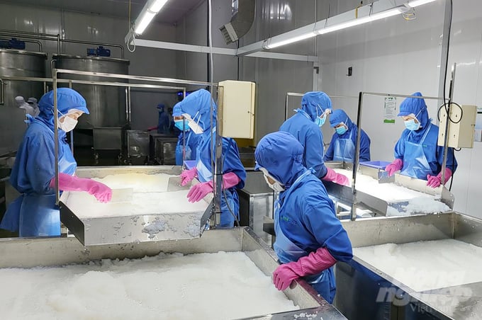 Nhà máy sản xuất thạch dừa của Vinacoco (công ty thành viên của GC Food). Ảnh: Nguyễn Thủy.
