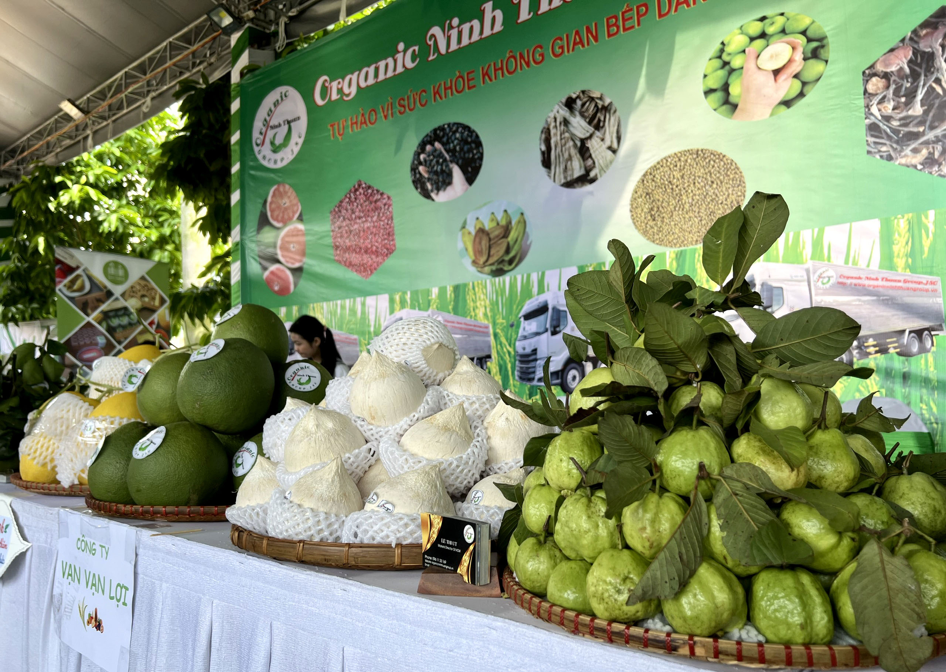 Organic Ninh Thuan will develop a variety of organic agricultural products in Ninh Thuan, including fruits. Photo: Son Trang.