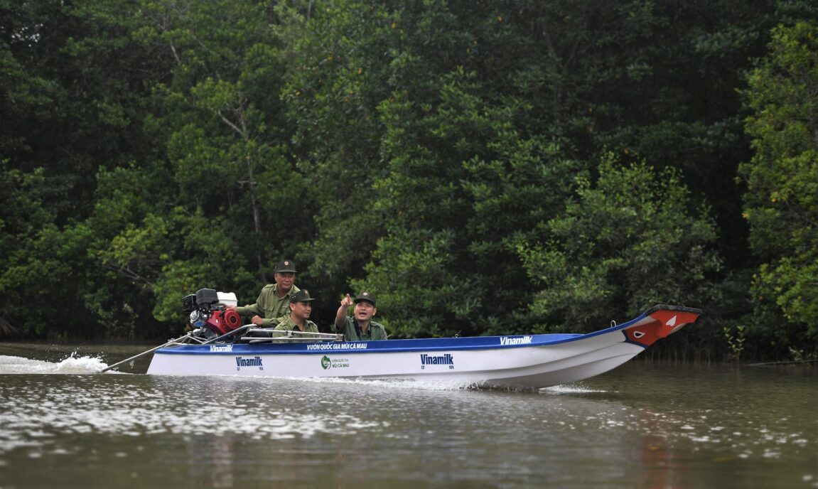 The boats sponsored by Vinamilk for the National Park serve as vehicles for supporting inspection, monitoring, and protection efforts within the forest nurturing area.