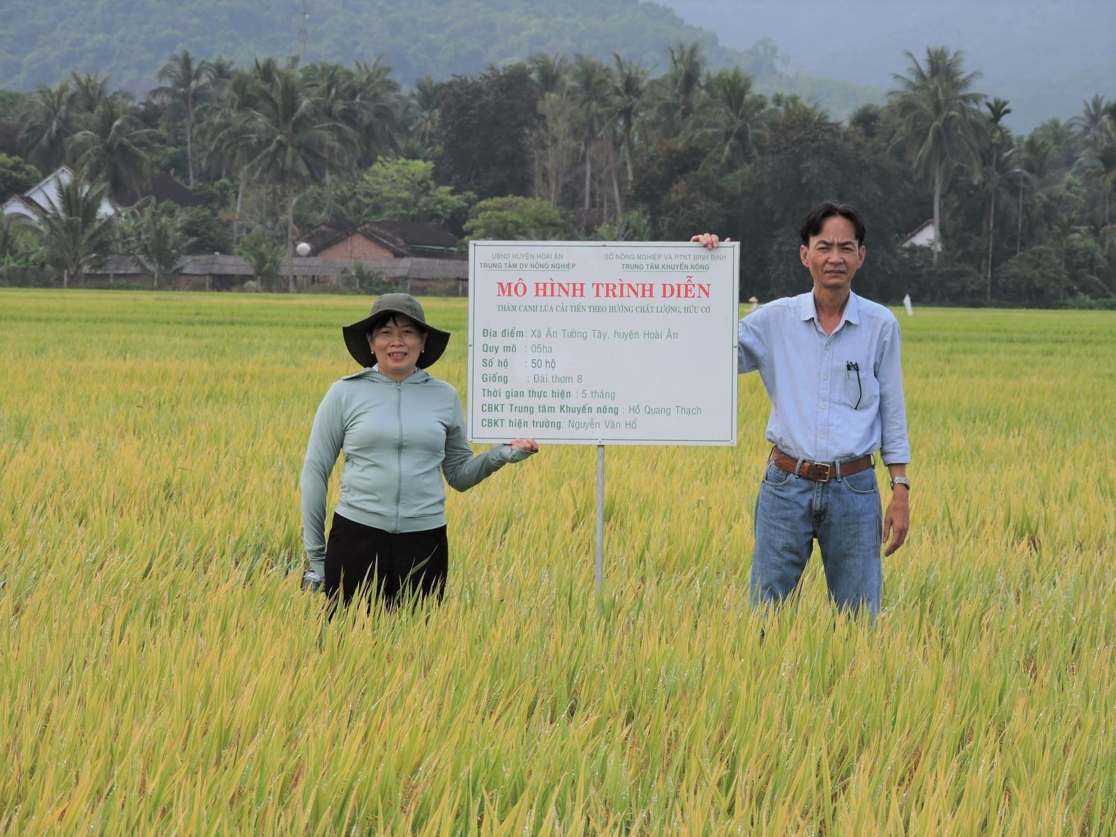 Mô hình sản xuất lúa hữu cơ ở xã Ân Tường Tây (huyện Hoài Ân, Bình Định). Ảnh: V.Đ.T.