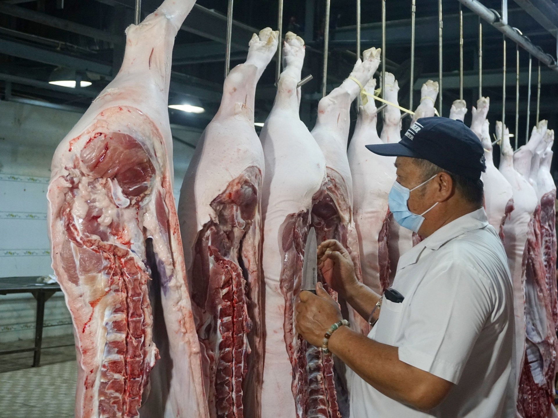Pork production is expecting a recovery in Asian countries. Photo: VAN.