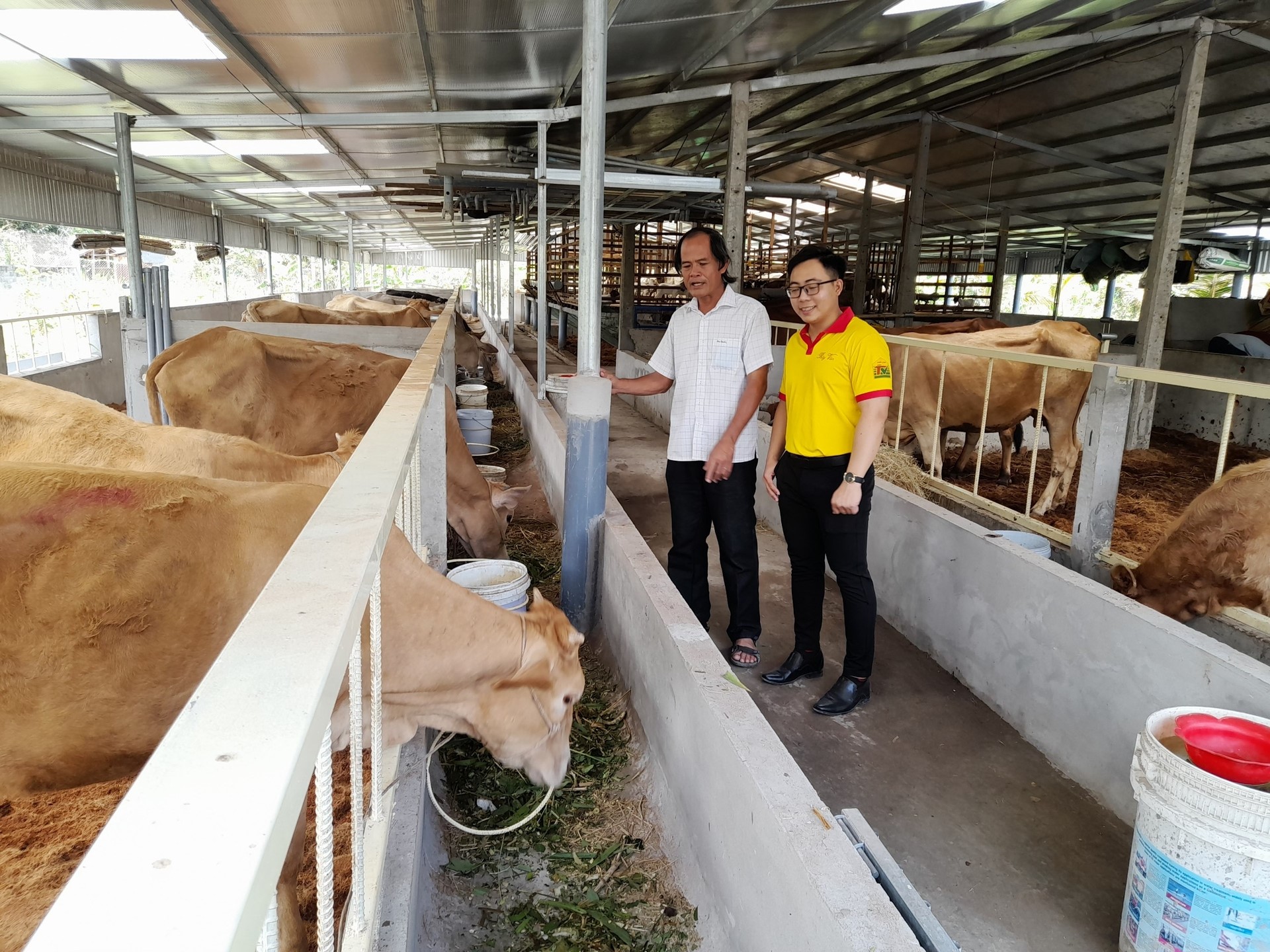It is recommended for breeders to focus on biosafety to prevent and control diseases. Photo: Huu Duc.